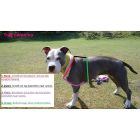 T tuig paars camouflage neon roze fleece 